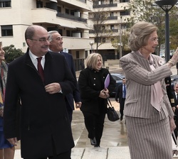 Doña Sofía se dirige al Auditorio Carlos Saura