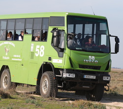 Vehículo todoterreno colectivo en el que viajaban Sus Majestades los Reyes durante su recorrido por el Parque de Doñana