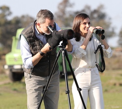 Sus Majestades los Reyes en el observatorio de la zona de la Vera del Puntal