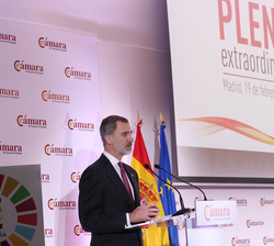 Don Felipe durante su discurso