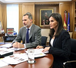 Los Reyes en la videoconferencia con la Asociación Educativa Ítaca