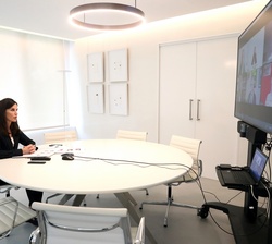 Doña Letizia en la videoconferencia con la Asociación Diabetes Madrid y Fundación para la Diabetes