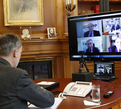 Su Majestad el Rey durante la videoconferencia con el Sector Olivarero Andaluz