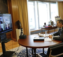 Su Majestad el Rey durante la videoconferencia con el Sector Olivarero Andaluz