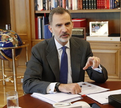 Su Majestad el Rey durante la videoconferencia con el Sector Olivarero Andaluz