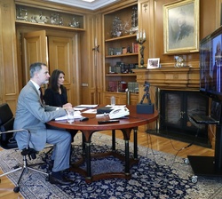 Sus Majestades los Reyes durante la videoconferencia mantenida con los responsables de la Sociedad Española de Geriatría y Gerontología y del Foro Pro