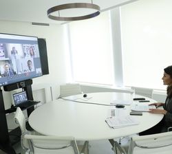 Su Majestad la Reina y los participantes intercambian impresiones durante la videoconferencia