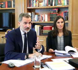 Sus Majestades los Reyes durante la videoconferencia
