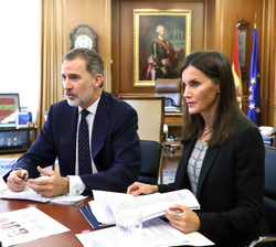 Sus Majestades los Reyes durante la videoconferencia