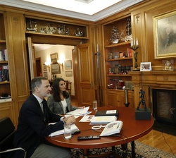 Sus Majestades los Reyes durante la videoconferencia