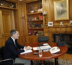 Su Majestad el Rey durante la videoconferencia