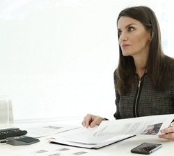 Doña Letizia durante la videoconferencia con los responsables de FIAPAS