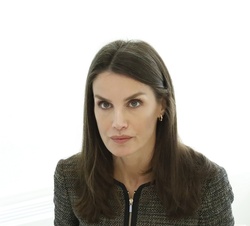 Su Majestad la Reina durante la videoconferencia