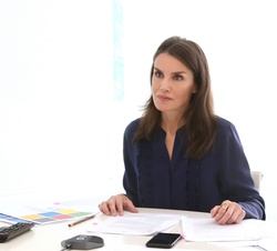 Su Majestad la Reina informada por los responsables de la Federación Española de Daño Cerebral