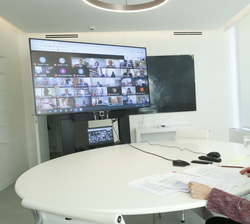 Videoconferencia de Su Majestad la Reina con el Patronato de la FAD