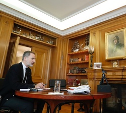 Don Felipe conversa con los participantes de la videoconferencia