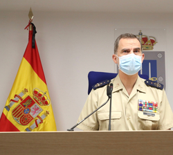 Su Majestad el Rey durante la videoconferencia