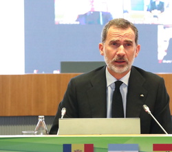 Su Majestad el Rey durante su intervención