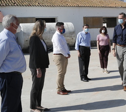 Sus Majestades los Reyes a su llegada a la Sociedad Agraria de Transformación Vega de San Martín