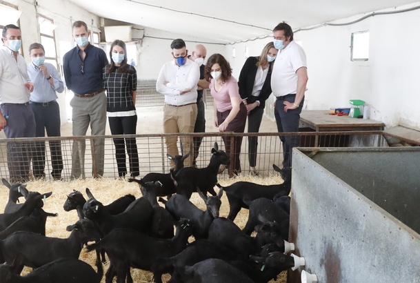 Sus Majestades los Reyes en los establos de la Sociedad Agraria de Transformación Vega de San Martín 