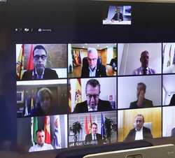 Su Majestad el Rey durante su videoconferencia con la Comisión Plenaria de la Red de Destinos Turísticos Inteligentes