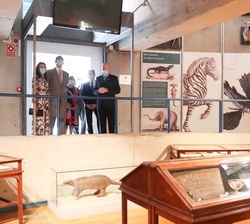 Sus Majestades los Reyes a su llegada al Museo de Ciencias Naturales acompañados por autoridades asistentes