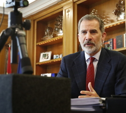 Su Majestad el Rey durante la videoconferencia con una representación del Instituto para el Desarrollo e Integración de la Sanidad - IDIS