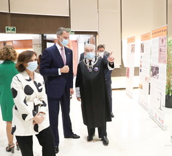 Su Majestad el Rey durante la visita de la exposición con motivo del 40º aniversario del Tribunal Constitucional