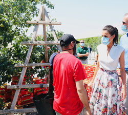 Sus Majestades los Reyes conversan con un trabajador de la Cooperativa de frutas "La Carrichosa"