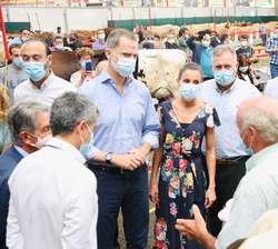 Sus Majestades los Reyes en su recorrido recogen impresiones del personal presente en el Mercado Nacional de Ganados "Jesús Collado Soto"