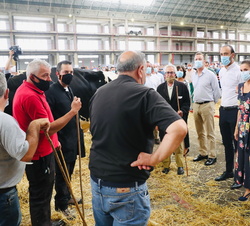 Sus Majestades los Reyes conversan con compradores y vendedores de ganado
