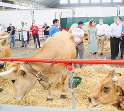 Detalle de uno de los puestos visitados por Sus Majestades los Reyes en su visita al Mercado Nacional de Ganados