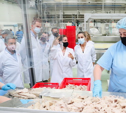 Sus Majestades los Reyes ven el proceso completo al que es sometido la conserva