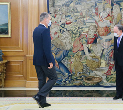 Su Majestad el Rey recibe al director general de la Organización para la prohibición de las Armas Químicas, Fernando Arias González