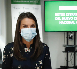 Doña Letizia durante la reunión de trabajo