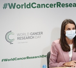 Su Majestad la Reina en un momento de la videoconferencia mantenida en la sede de la Asociación Española Contra el Cáncer