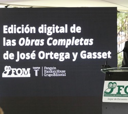 Don Felipe durante su intervención 