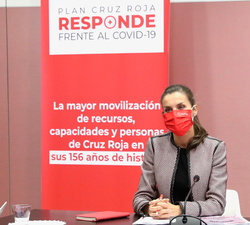 Su Majestad la Reina durante el desarrollo de la reunión de trabajo