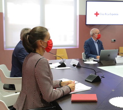 Doña Letizia durante una presentación en la reunión de trabajo en Cruz Roja Española