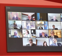 Asistentes telemáticos a la XXIII Reunión del Patronato de la Fundación Princesa de Girona