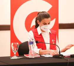 Doña Letizia en el trascurso de  la Reunión de las ONGS españolas activas en la respuesta humanitaria a huracanes ETA e IOTA en la Zona del Valle del 