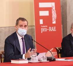 Su Majestad el Rey durante su intervención en la reunión del Patronato de la Fundación Pro Real Academia Española