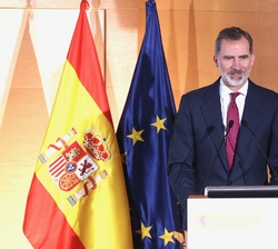 Don Felipe durante su intervención