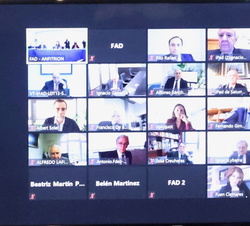Asistentes telemáticos a la reunión de trabajo del patronato de la FAD presidido por Doña Letizia