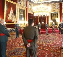Su Majestad el durante la audiencia a un grupo de Generales de Brigada