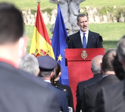 El Rey en su intervención