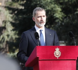 Don Felipe durante su intervención