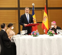 Su Majestad el Rey durante su intervención