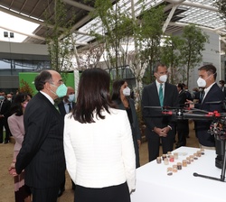 Los Reyes a su paso por el bosque urbano en el que se muestran algunas de las acciones de Iberdrola y Calidad de Iberdrola