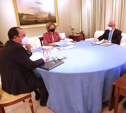 Doña Sofía durante el desarrollo de la reunión, mediante videoconferencia, con la Federación Española del Párkinson
